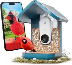Smart Solar Panel Window Bird Feeder With Camera for Easy Viewing