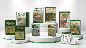 Virginia Bird Watching