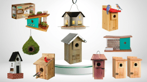 Modern Bird Houses