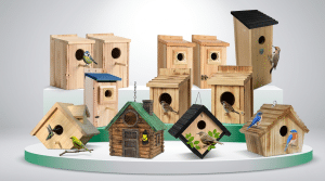 Northern Flicker Bird House